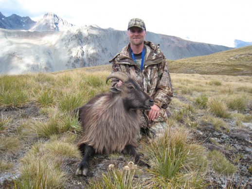 NZ Hunting Expeditions