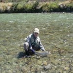 NZ Fly Fishing Expeditions - About to release a big NZ brown trout
