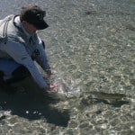 NZ Fly Fishing Expeditions - Releasing a NZ Rainbow trout