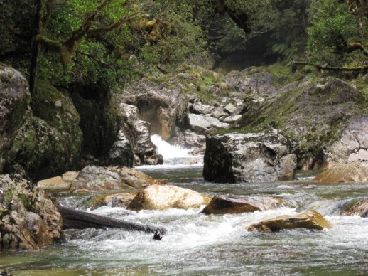 Fiordland Fly Fishing Expeditions