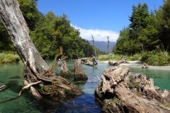 New Zealand Fly Fishing Expeditions