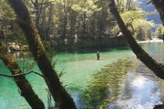 New Zealand Fly Fishing Expeditions