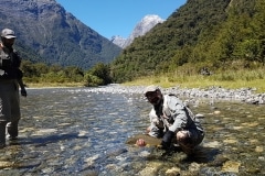 New Zealand Fly Fishing Expeditions