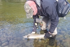 New Zealand Fly Fishing Expeditions