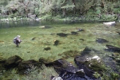 New Zealand Fly Fishing Expeditions