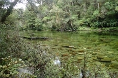 New Zealand Fly Fishing Expeditions