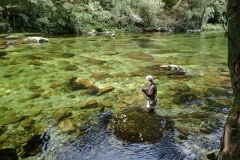 New Zealand Fly Fishing Expeditions