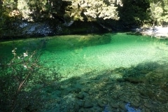 New Zealand Fly Fishing Expeditions