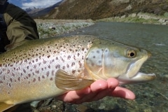 New Zealand Fly Fishing Expeditions