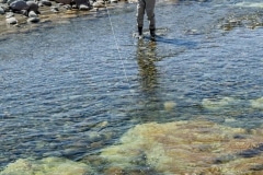 New Zealand Fly Fishing Expeditions - Photo Credit Simon Gilbert