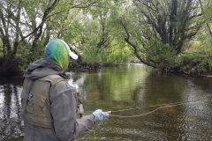 New Zealand Fly Fishing Expeditions