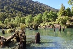 New Zealand Fly Fishing Expeditions