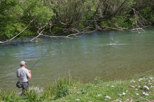 NZ Fly Fishing Expeditions - Battle on!