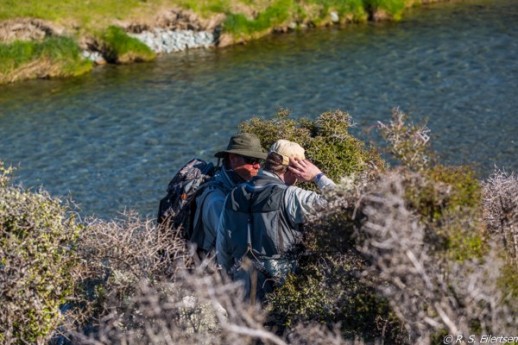 New Zealand Fly Fishing Expeditions Guides at Work