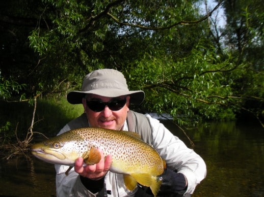 Great Southern NZ brown trout