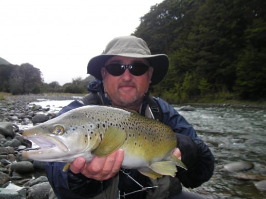 Mouse eating New Zealand brown trout