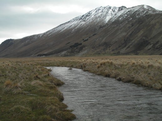 New Zealand Fly Fishing Expeditions - Exploring new water