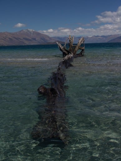 New Zealand Fly Fishing Expeditions New Zealand Fly Fishing Expeditions