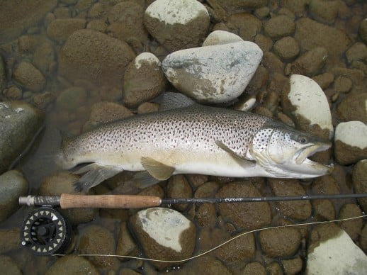 New Zealand Fly Fishing Expeditions - Outside the box
