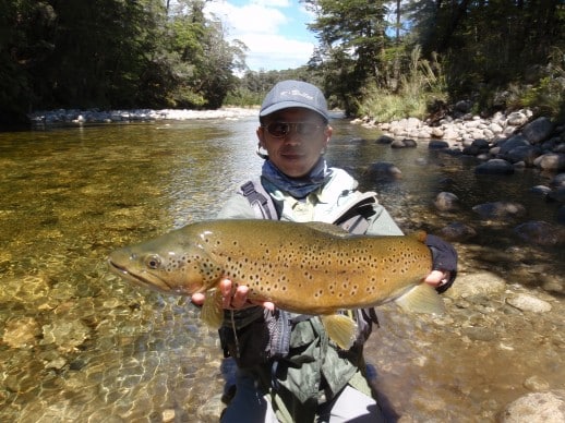 NZ Fly Fishing Expeditions - another trophy brown trout 11.25lbs
