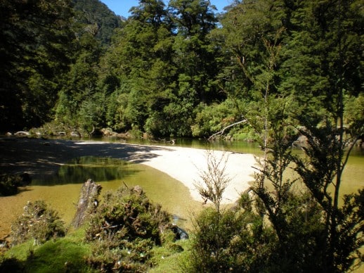 New Zealand Fly Fishing Expeditions