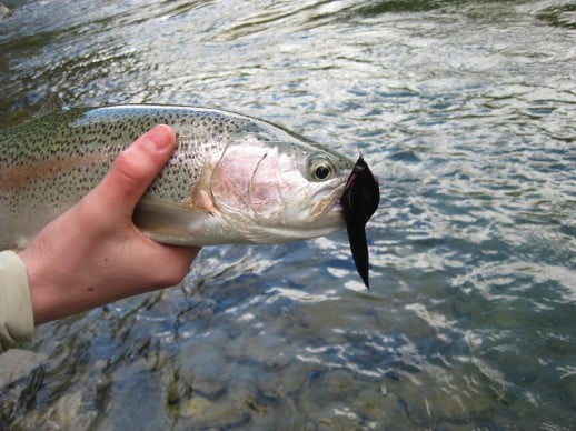 Fishing Queenstown