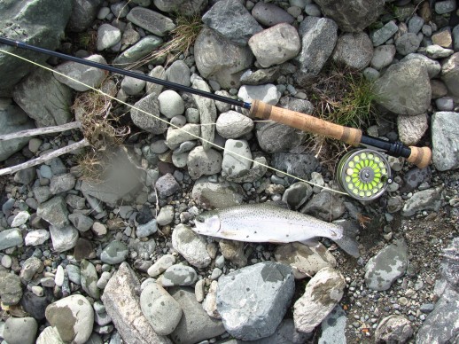 New Zealand Fly Fishing Expeditions