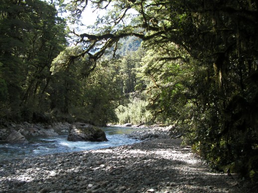 New Zealand Fly Fishing Expeditions - somewhere in Fiordland