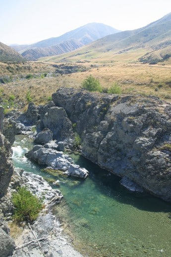 Spotting NZ Trout