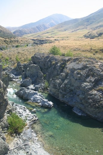 Spotting NZ Trout