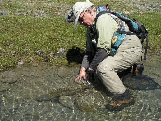 Queenstown Fly Fishing