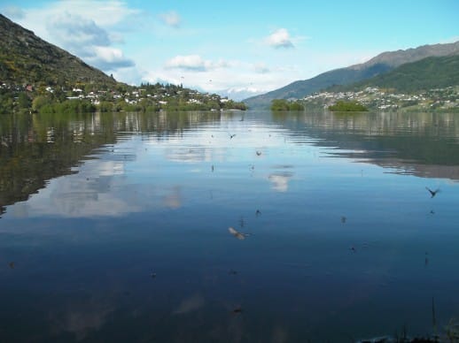 Fly Fishing Queenstown