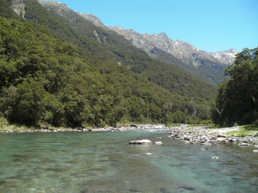 Fly Fishing Queenstown