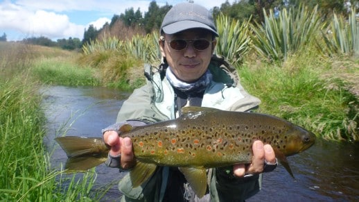 Small water trout often punch way above the size!