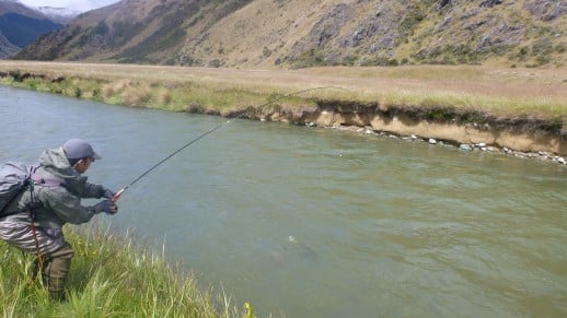 Queenstown Fly Fishing