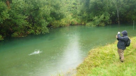 Fly Fishing New Zealand