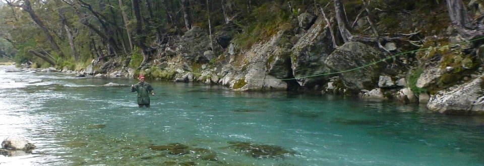 Spotting NZ Trout