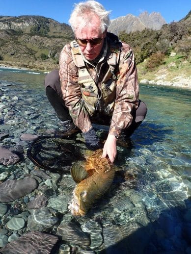 Backcountry brown