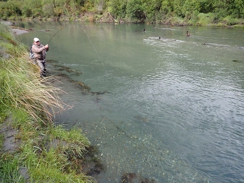 Fly Fishing Road trip